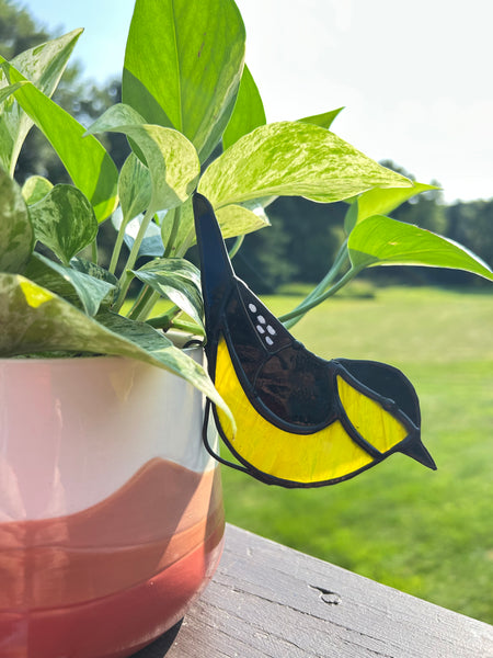Finch pot hugger