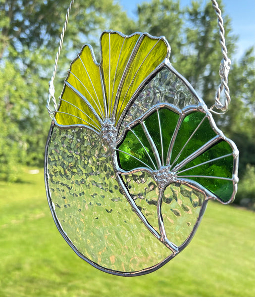 Ginkgo Leaves